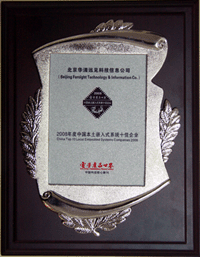 “2008嵌入式系统十佳企业”奖牌